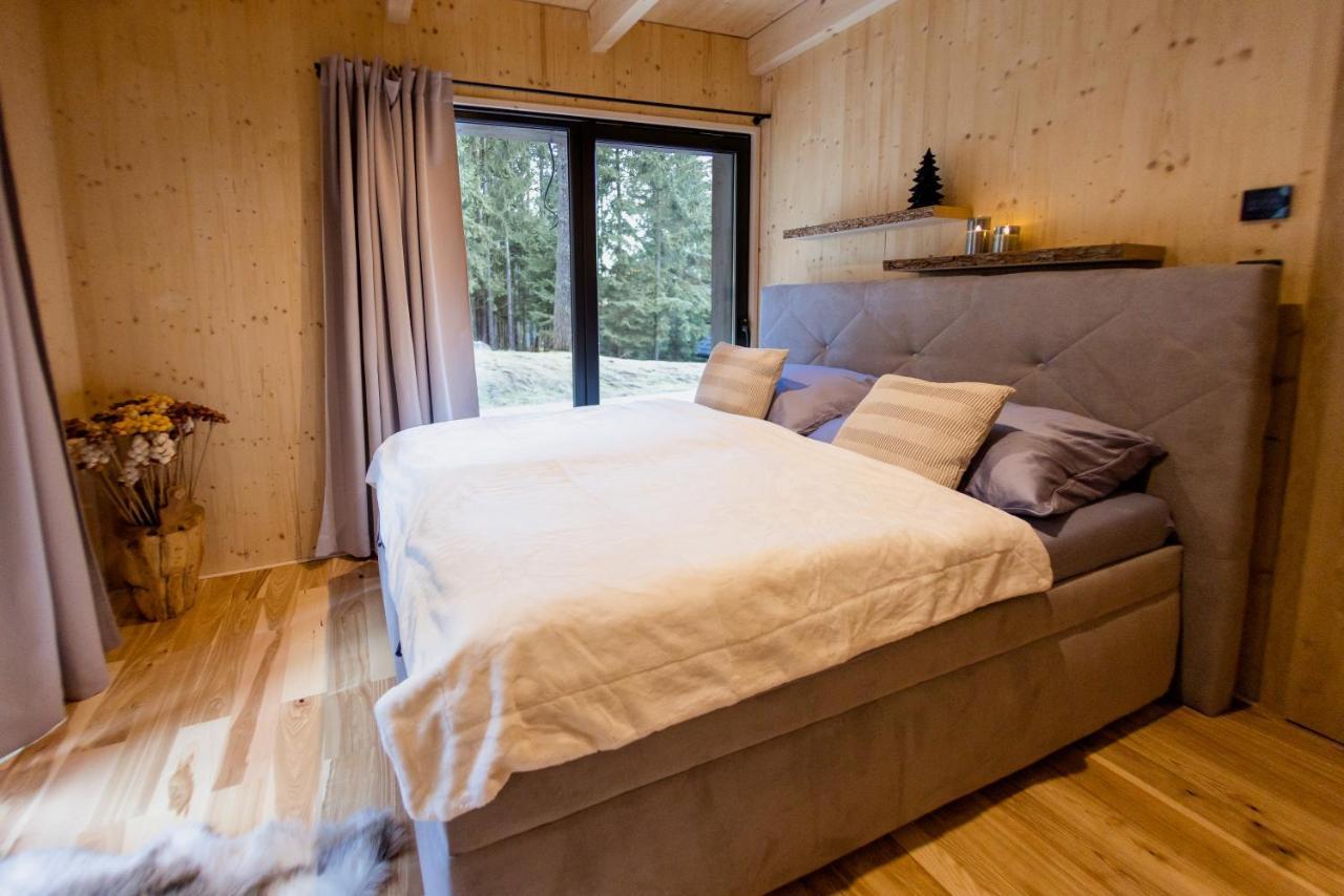 Apartman Pod Demaenovskou Horou 迪马诺卡多林纳 外观 照片
